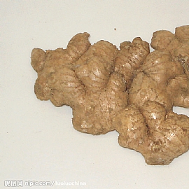 保健養生 晨起含薑的奇蹟